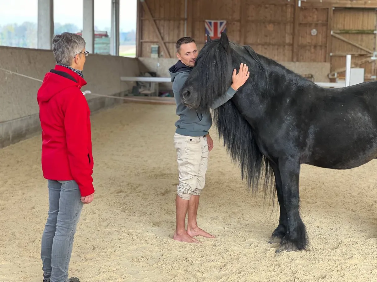 Zwei Menschen mit einem schwarzen Pferd in der Reithalle