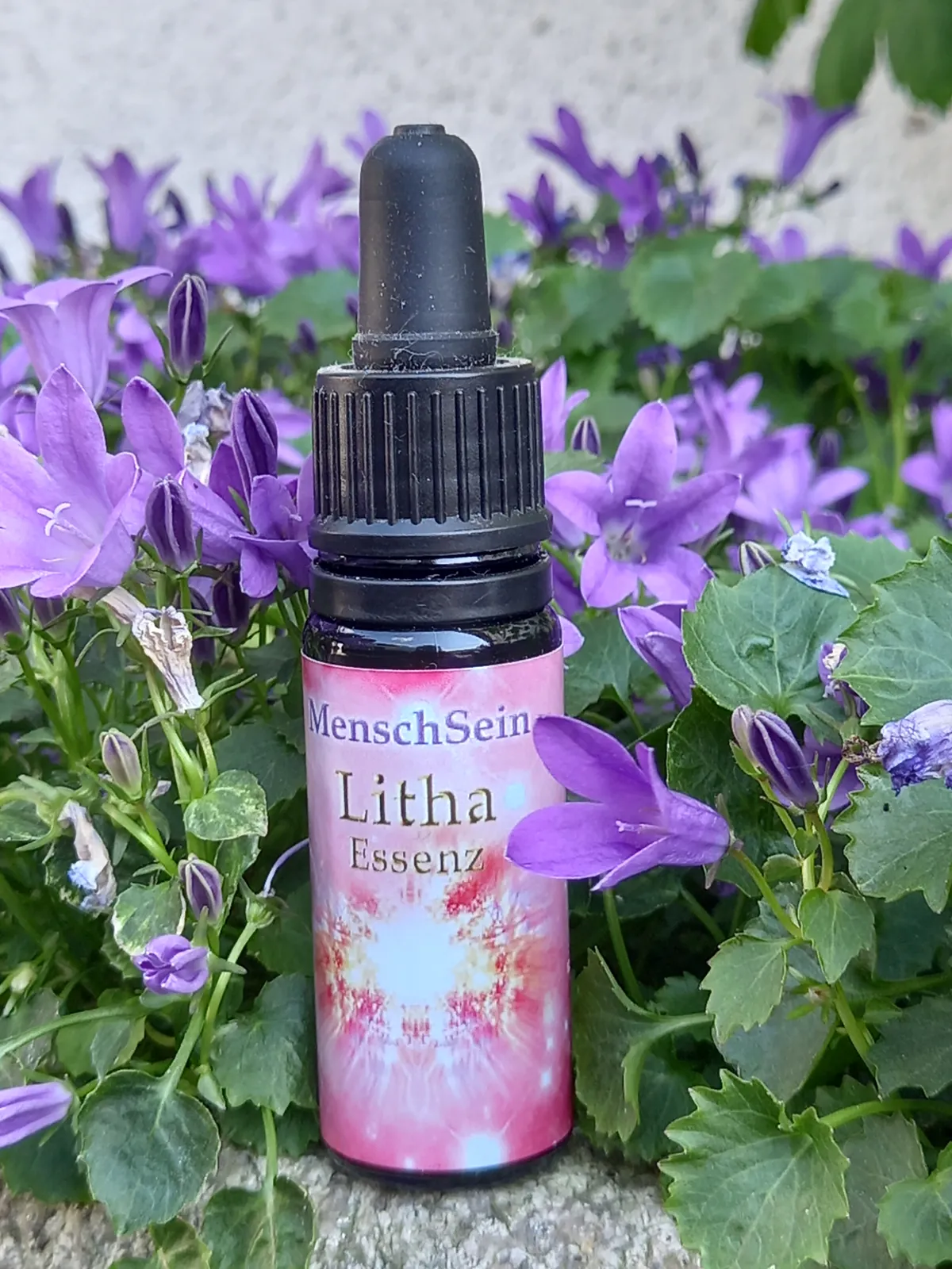 MenschSein Litha-Essenz vor lila Glockenblumen