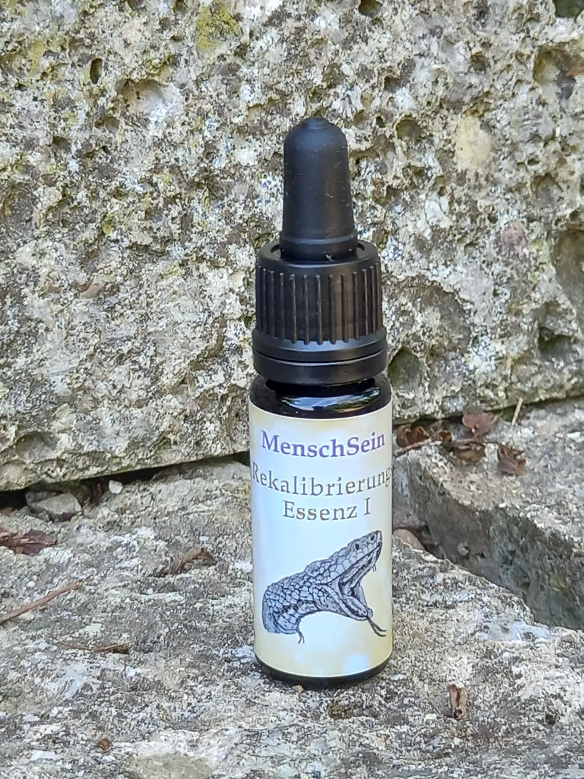 MenschSein Rekalibrierungs-Essenz I auf einem Felsen