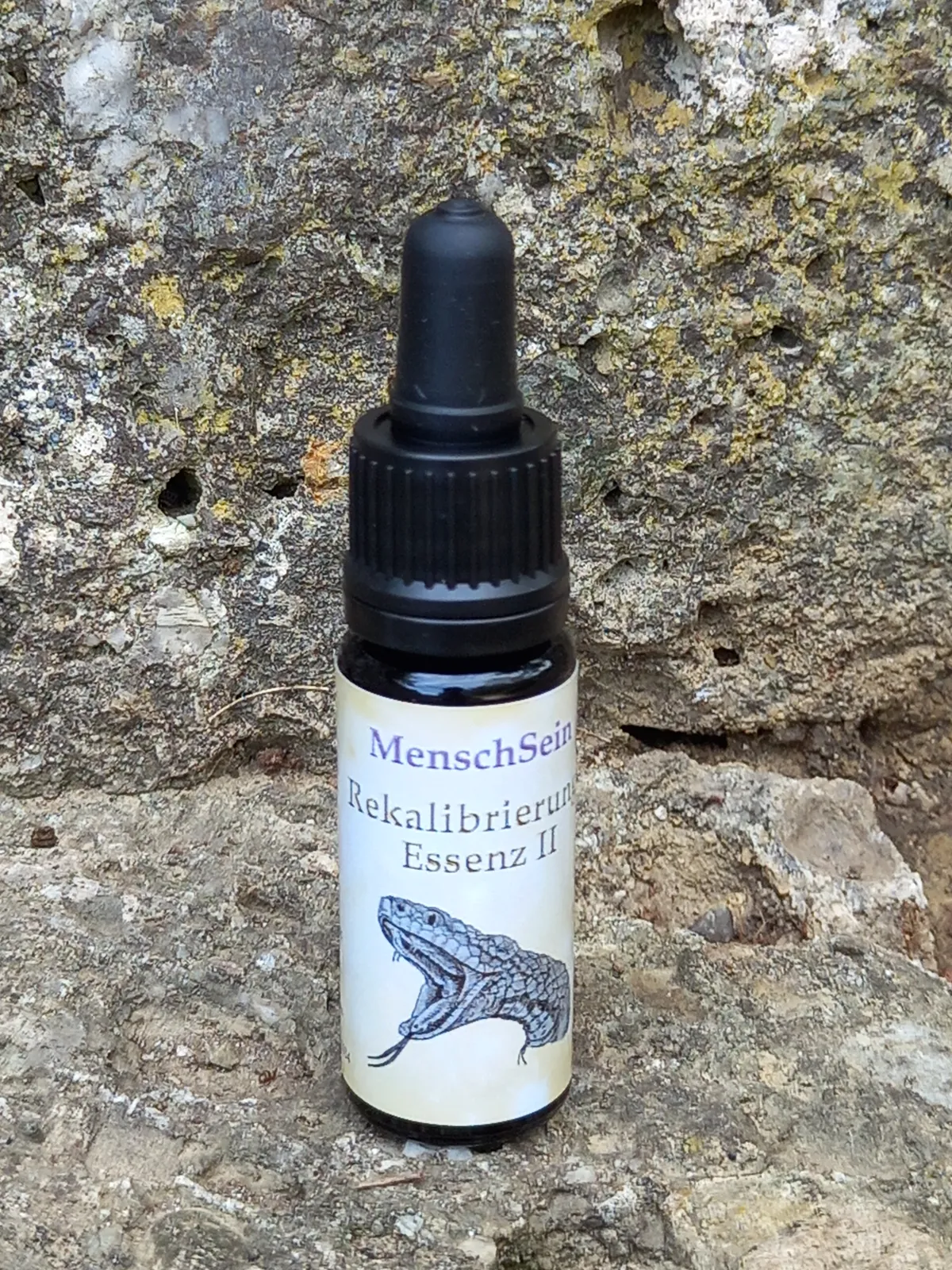 MenschSein Rekalibrierungs-Essenz II vor einem Stein