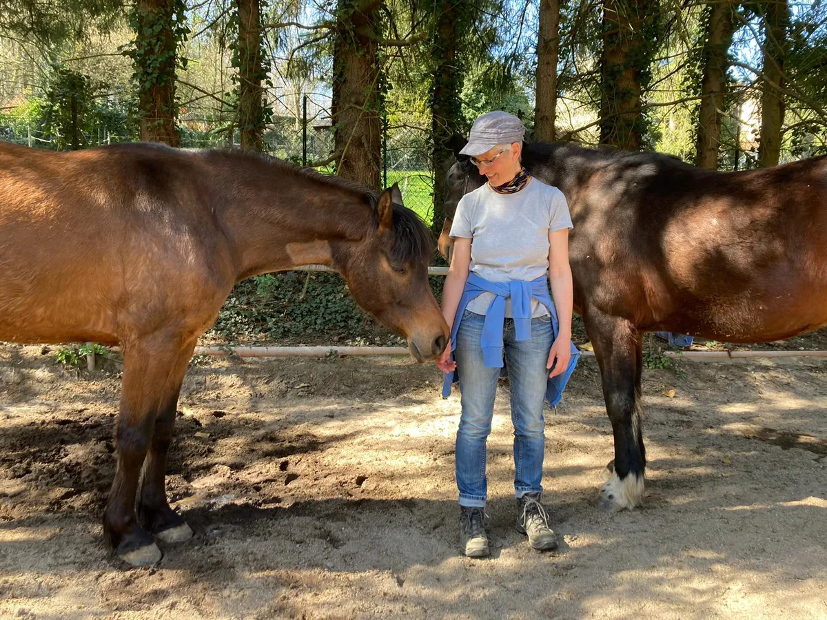 Eine Frau steht mit zwei Pferden auf einem Sandplatz unter Bäumen