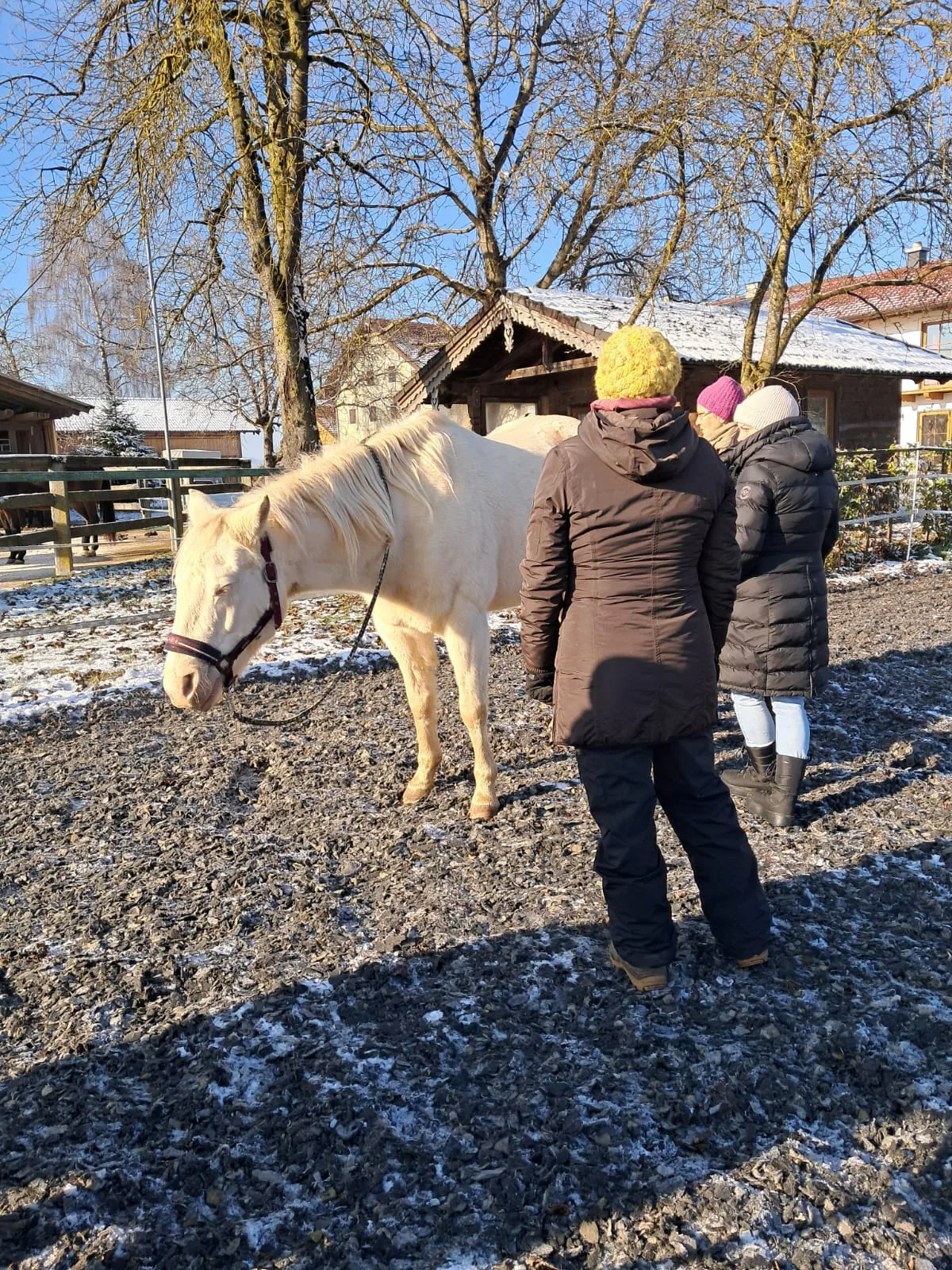 Kursteilnehmerinnen mit einem hellen Pferd auf dem Paddock